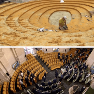réflexion de l'amphithéâtre de l'institut de France